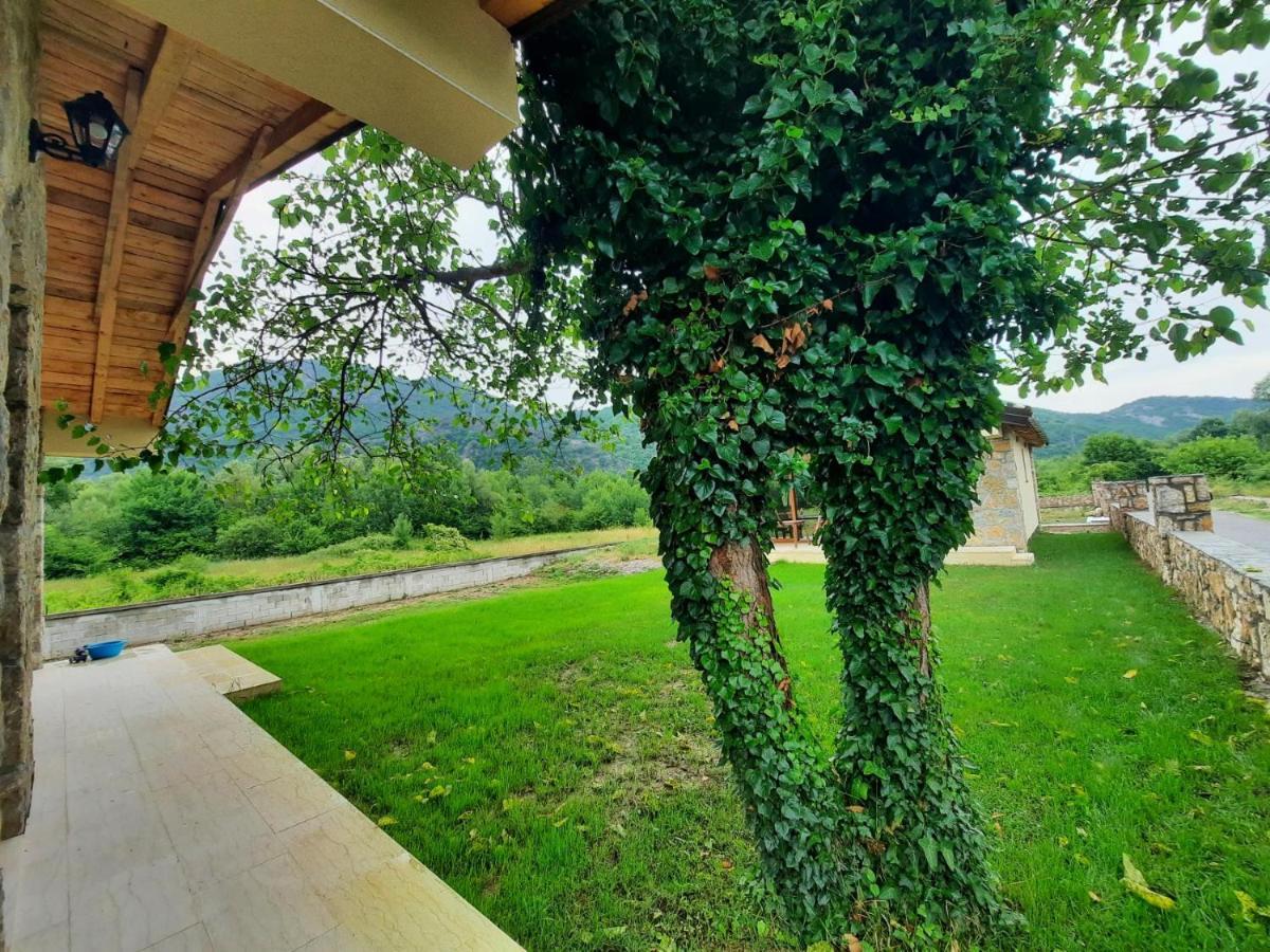 Orahovo Stone Villa Virpazar